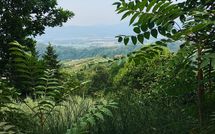 Photo submitted by guest of Villa Filippo