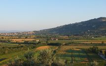 Photo submitted by guest of Villa Chiara