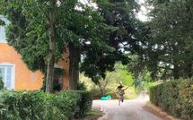 Photo submitted by guest of La Macchietta