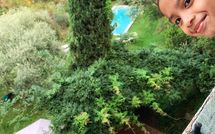 Photo submitted by guest of La Macchietta