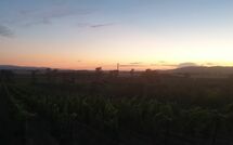 Photo submitted by guest of Borgo Casa di Lappi