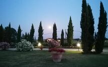 Photo submitted by guest of Podere Marcigliano