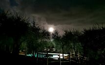 Photo submitted by guest of Villa Mastiano