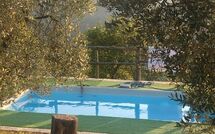 Photo submitted by guest of La Casina del Bosco