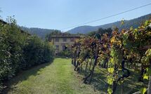 Photo submitted by guest of Bettina!