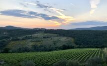 Photo submitted by guest of Contessa di Gaiole