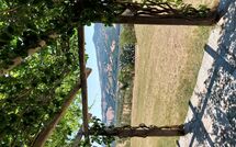 Photo submitted by guest of Scansano 100