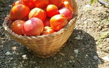 Photo submitted by guest of Torre del Cielo