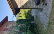 Photo submitted by guest of Il Poderino