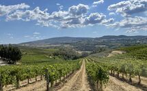 Photo submitted by guest of Fattoria Pogni