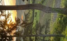 Photo submitted by guest of Radda in Chianti 850