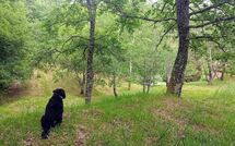 Photo submitted by guest of Vignoli