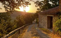 Photo submitted by guest of Podere Palazzo