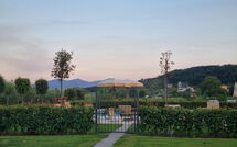 Photo submitted by guest of Lucca 695