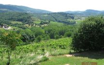 Photo submitted by guest of San Pierino