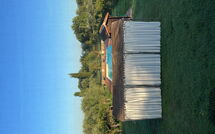 Photo submitted by guest of Campolacconi