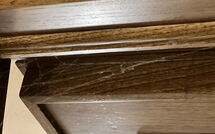 Photo submitted by guest of La Cipressa