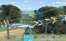 Photo submitted by guest of Poggio Falcone