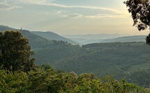 Photo submitted by guest of Villa Crispinino