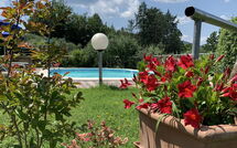 Photo submitted by guest of Il Sangiovese