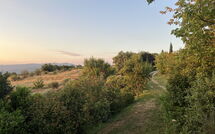 Photo submitted by guest of Casetta i Ciliegi