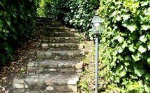 Photo submitted by guest of Montegufoni