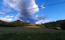 Photo submitted by guest of La Ripresa