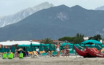 Photo submitted by guest of Al Magliano