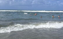 Photo submitted by guest of Al Magliano