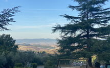 Photo submitted by guest of Montaione 140