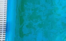 Photo submitted by guest of Tenuta di Campagliana