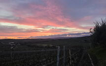 Photo submitted by guest of Brunello