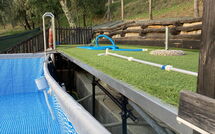 Photo submitted by guest of Alla Piazzetta