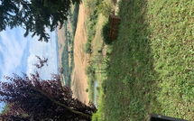 Photo submitted by guest of Lajatico 602