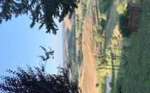 Photo submitted by guest of Lajatico 602