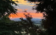 Photo submitted by guest of Villa Camelia