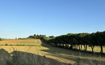 Photo submitted by guest of Villa Camelia