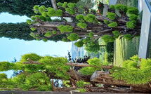 Photo submitted by guest of Poggio Falcone