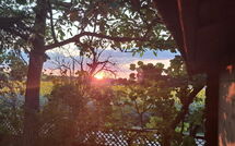 Photo submitted by guest of Villa Cantagallo