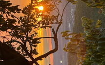 Photo submitted by guest of Casetta i Ciliegi