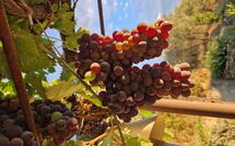 Photo submitted by guest of San Eusebio