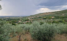 Photo submitted by guest of San Eusebio