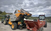 Photo submitted by guest of Sole nel Prato