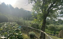 Photo submitted by guest of Villa Flora