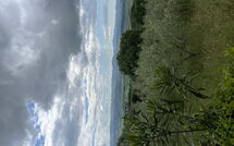 Photo submitted by guest of Casolare Ser Chelino