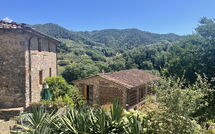 Photo submitted by guest of Bottino