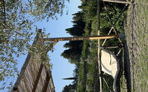 Photo submitted by guest of Greve in Chianti 651