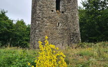 Photo submitted by guest of Villa Rosata