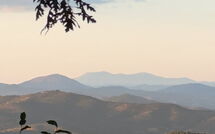 Photo submitted by guest of La Goccia