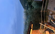 Photo submitted by guest of Villa Mastiano